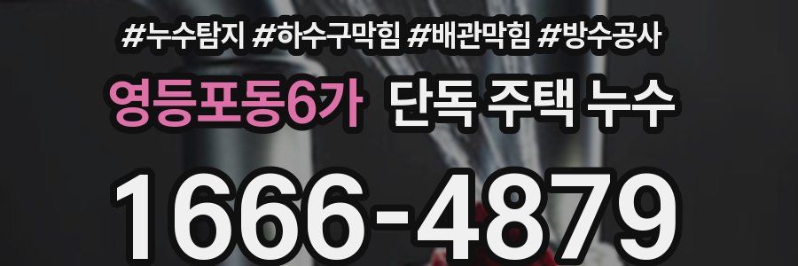 영등포동6가 단독 주택 누수