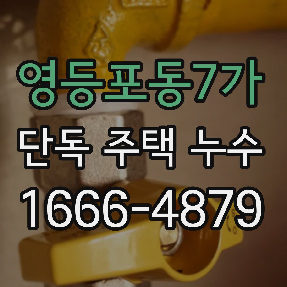 영등포동7가 단독 주택 누수