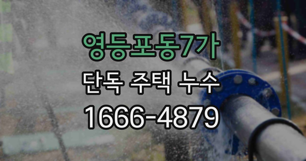 영등포동7가 단독 주택 누수