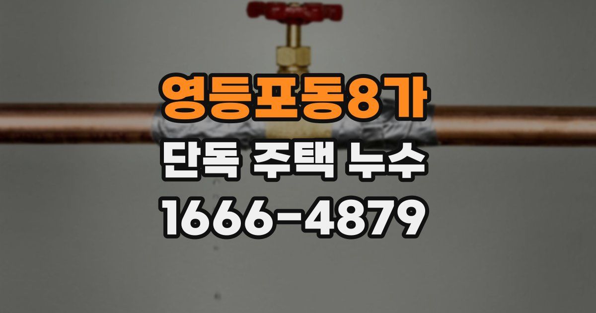 영등포동8가 단독 주택 누수