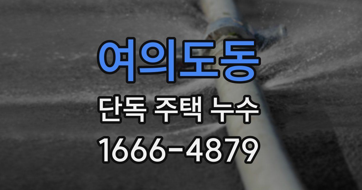 여의도동 단독 주택 누수