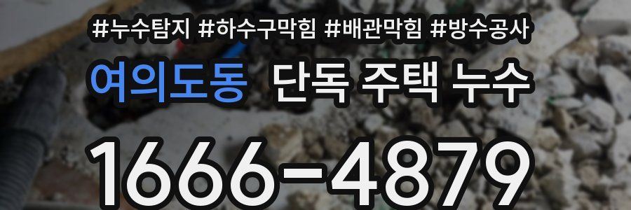 여의도동 단독 주택 누수