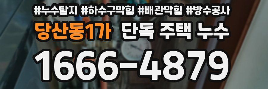 당산동1가 단독 주택 누수