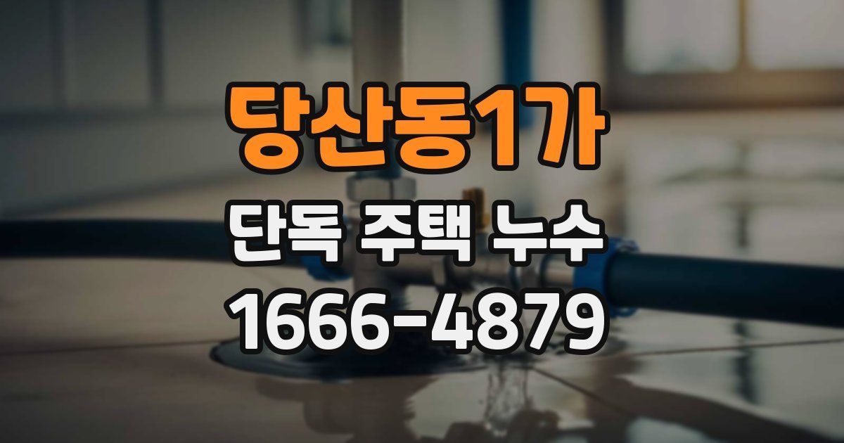 당산동1가 단독 주택 누수