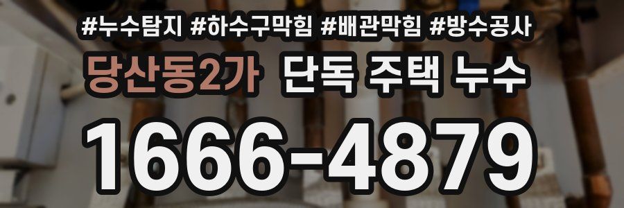 당산동2가 단독 주택 누수