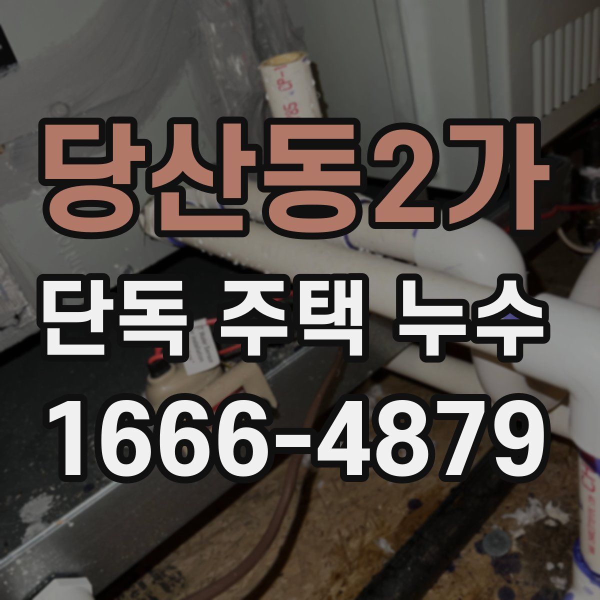 당산동2가 단독 주택 누수