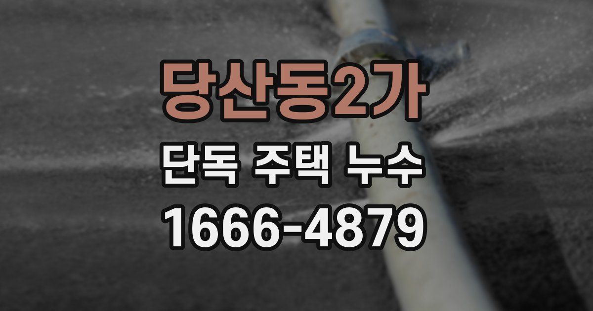 당산동2가 단독 주택 누수
