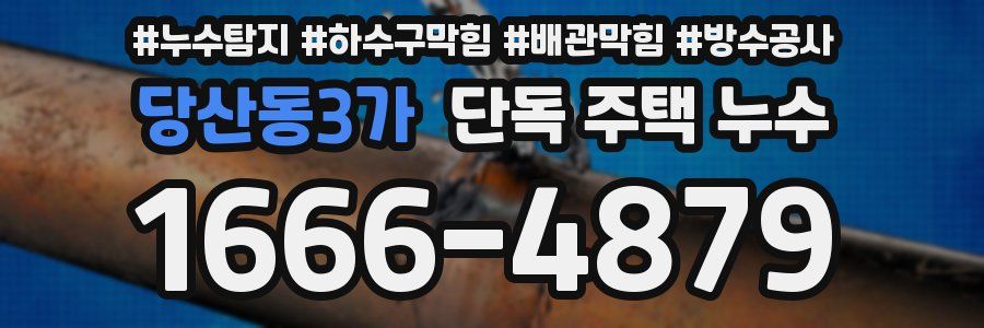 당산동3가 단독 주택 누수