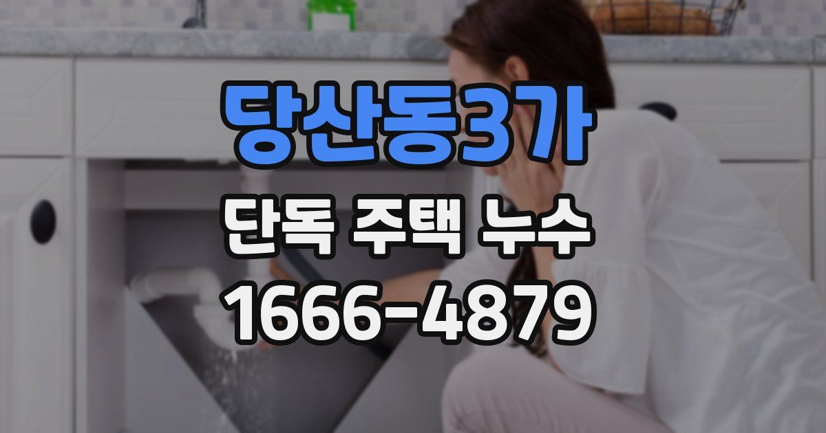 당산동3가 단독 주택 누수