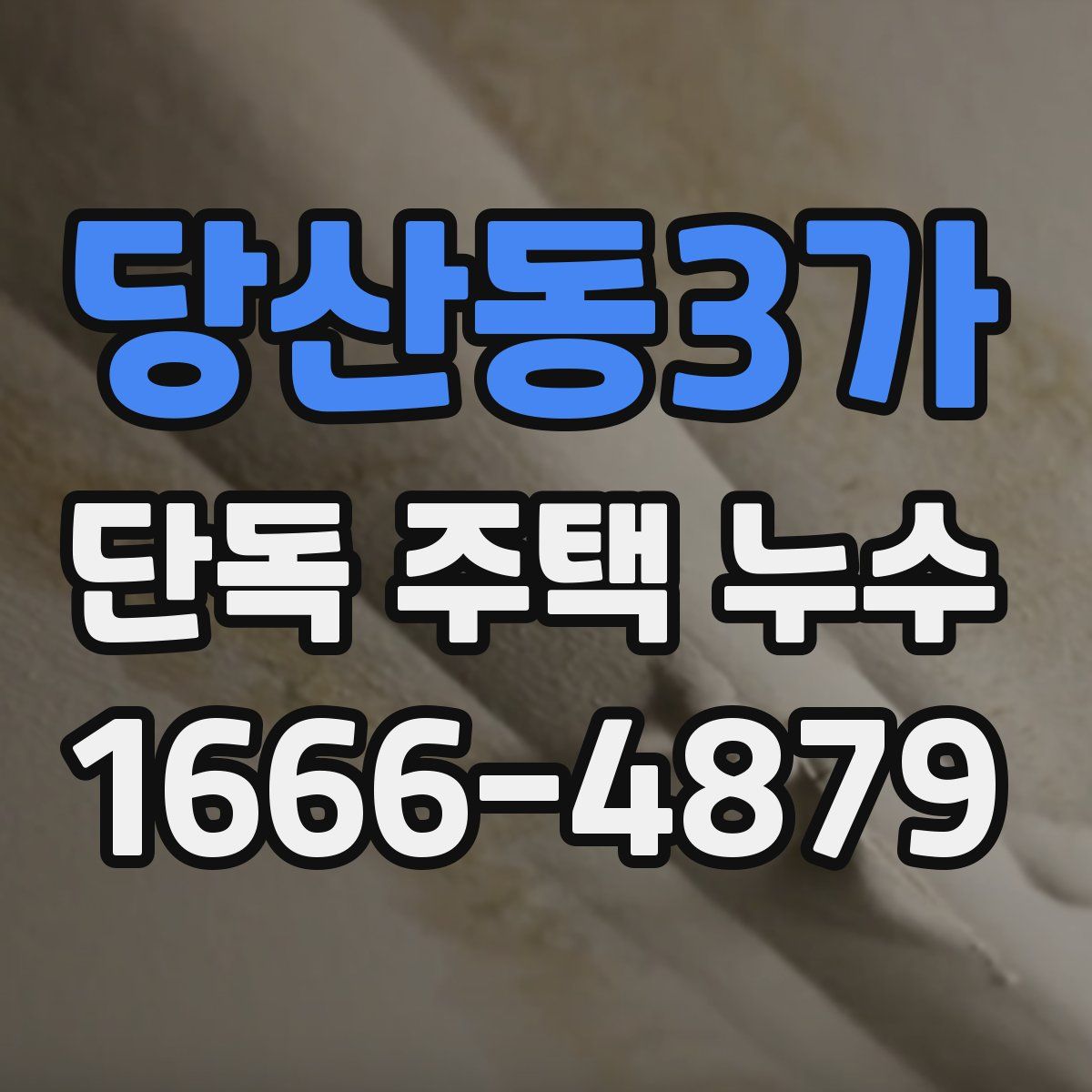 당산동3가 단독 주택 누수