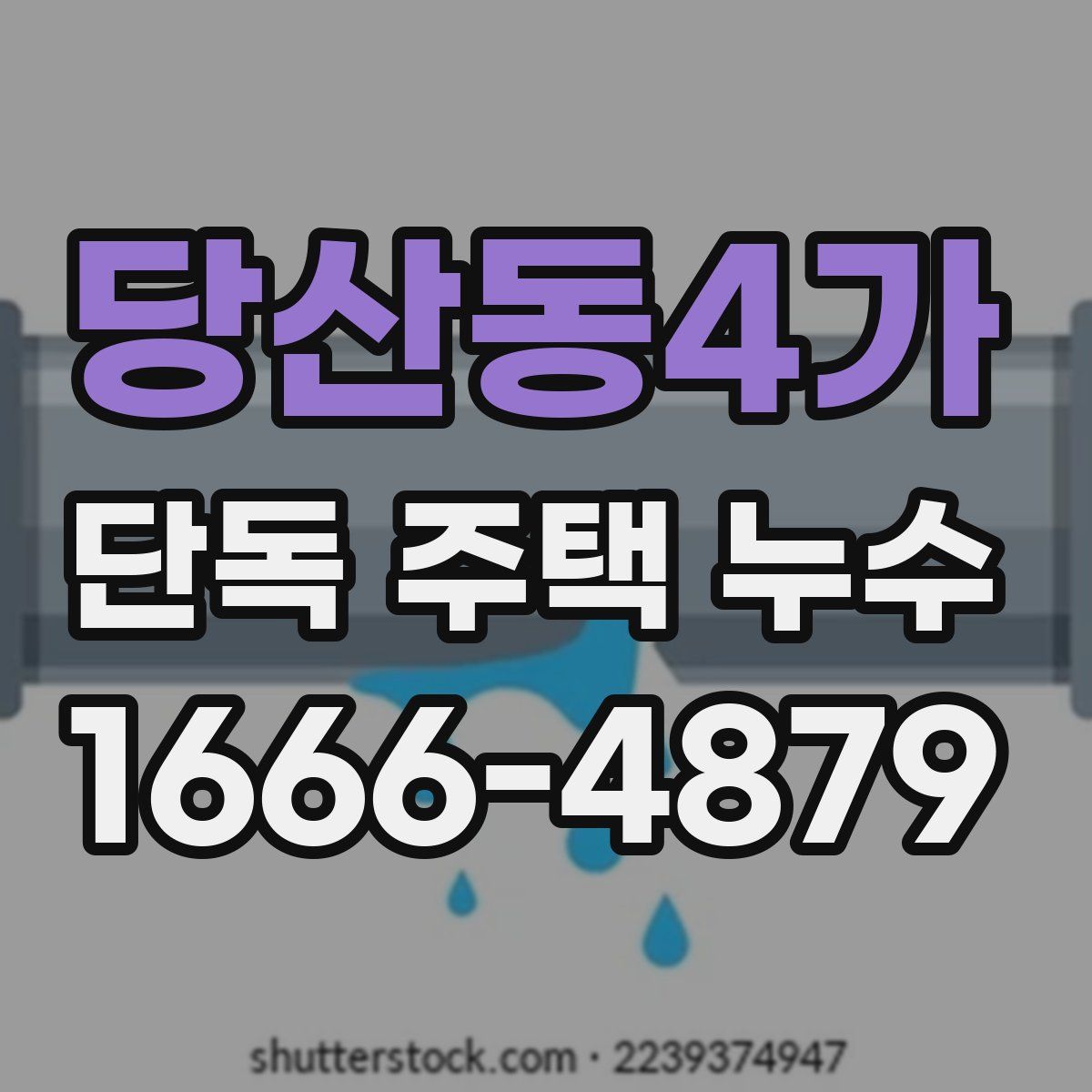 당산동4가 단독 주택 누수