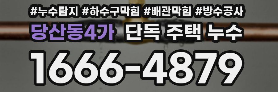 당산동4가 단독 주택 누수