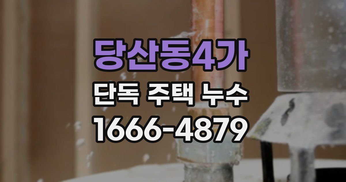 당산동4가 단독 주택 누수