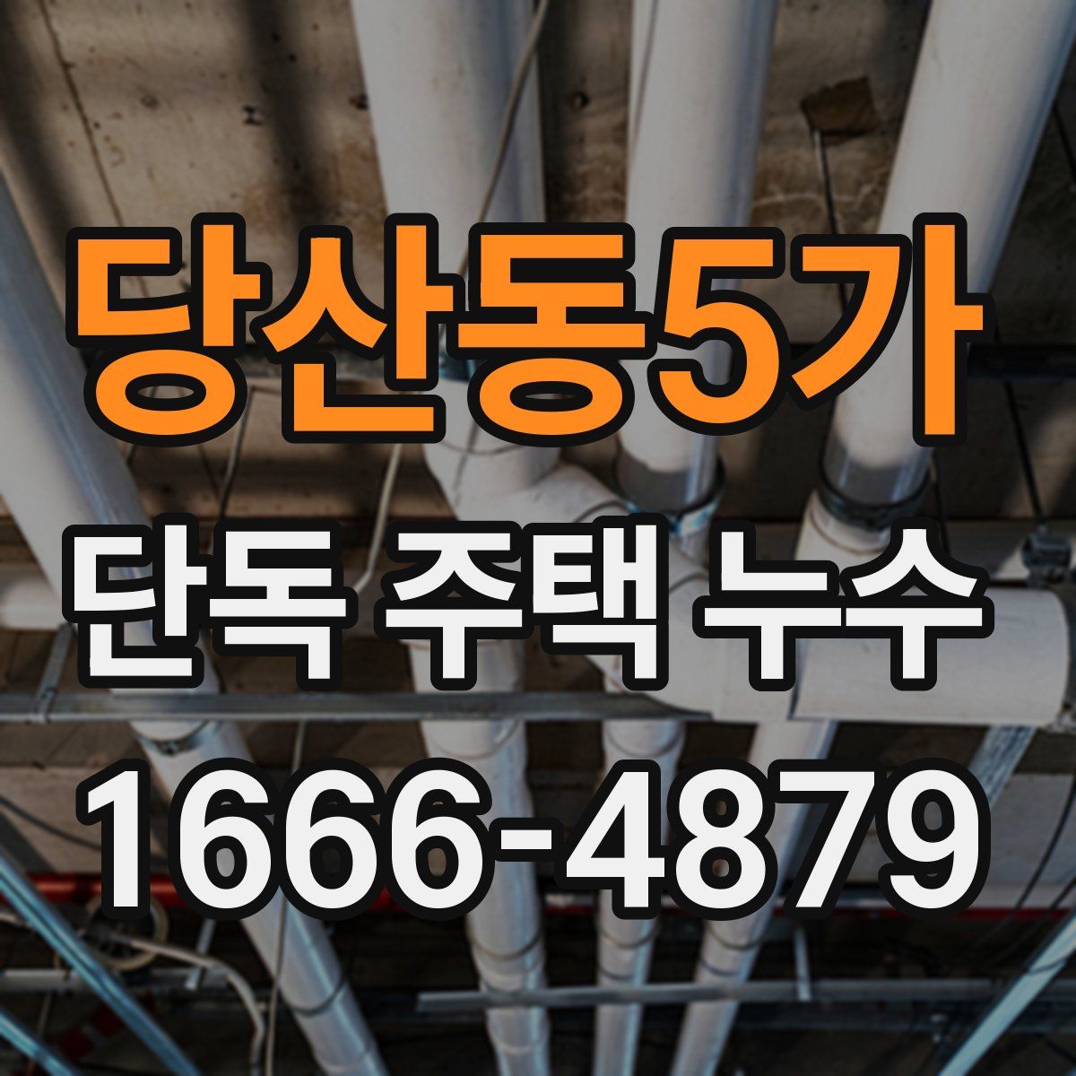 당산동5가 단독 주택 누수