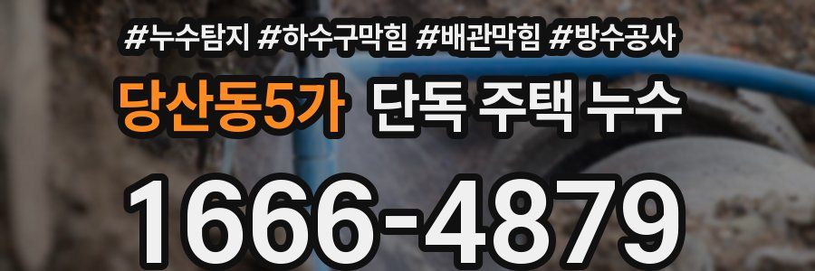 당산동5가 단독 주택 누수