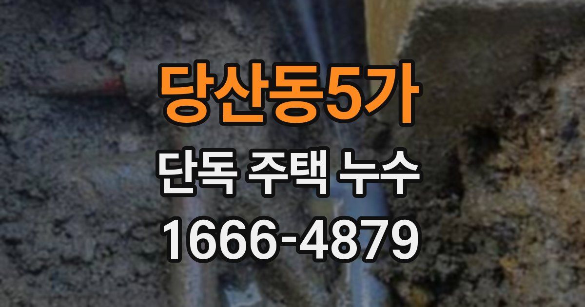 당산동5가 단독 주택 누수