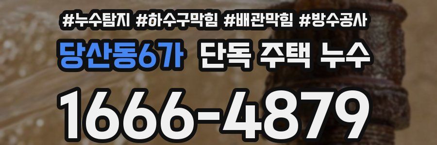 당산동6가 단독 주택 누수