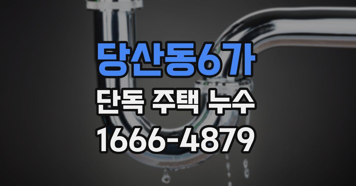 당산동6가 단독 주택 누수
