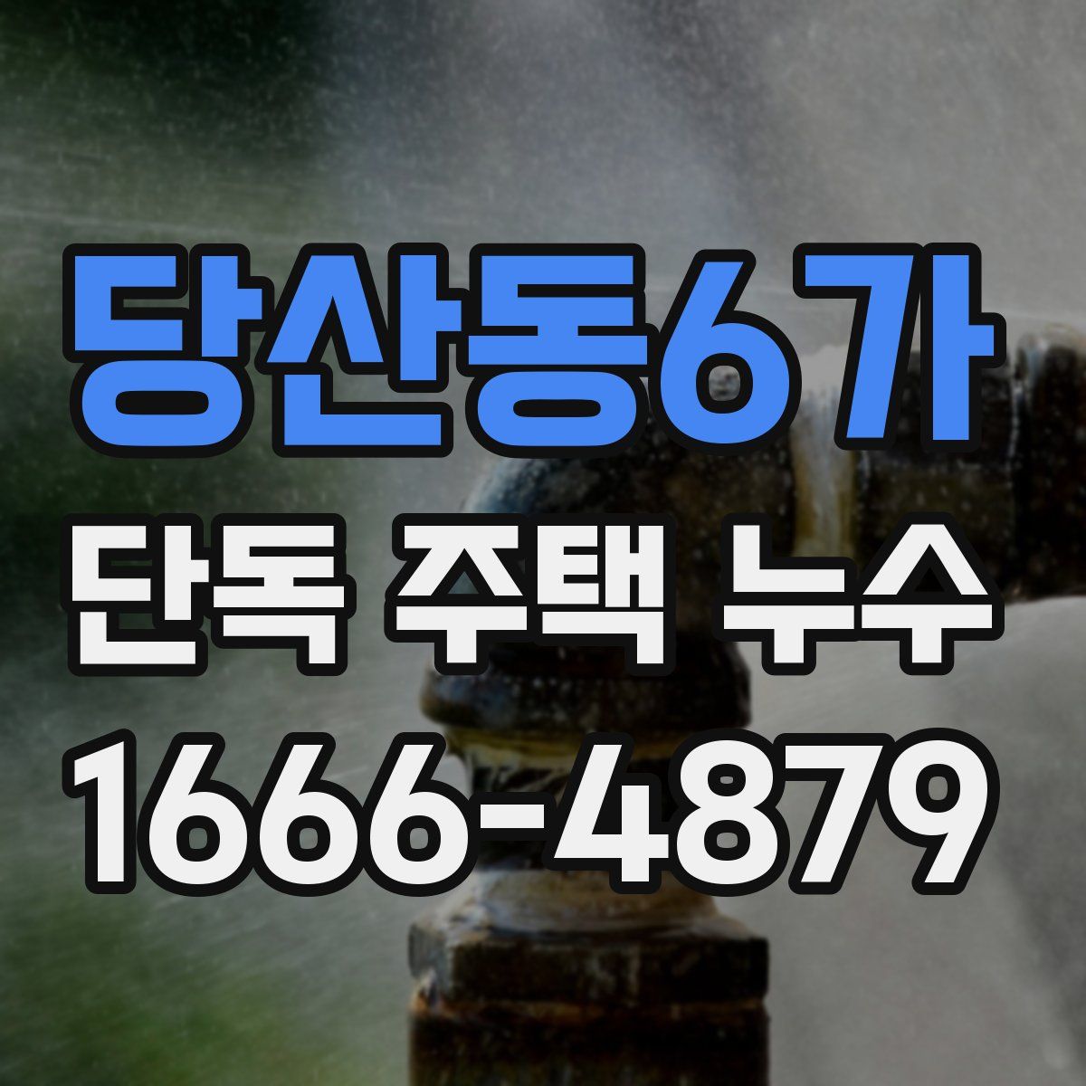 당산동6가 단독 주택 누수
