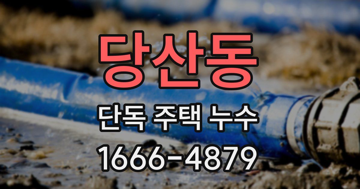 당산동 단독 주택 누수