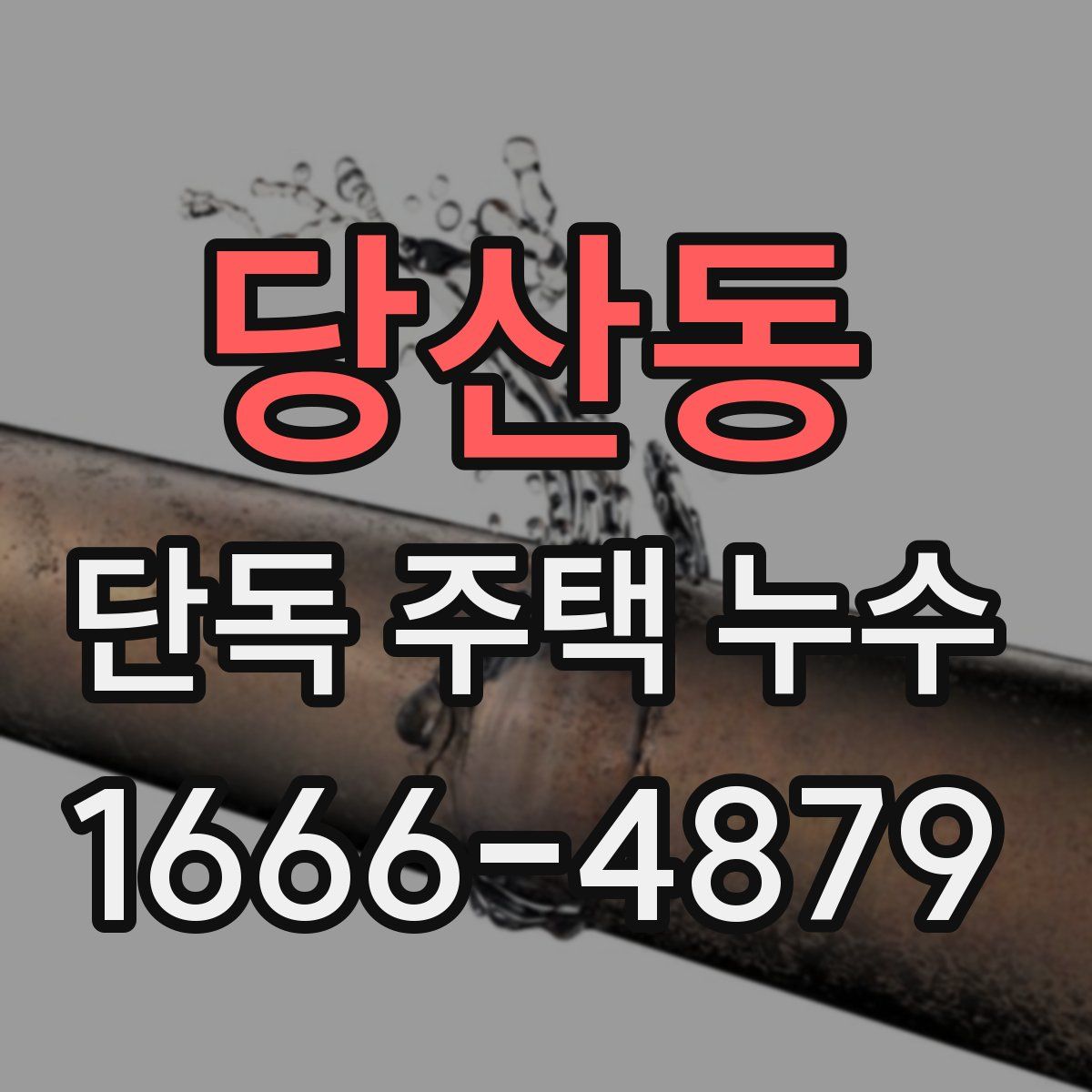 당산동 단독 주택 누수