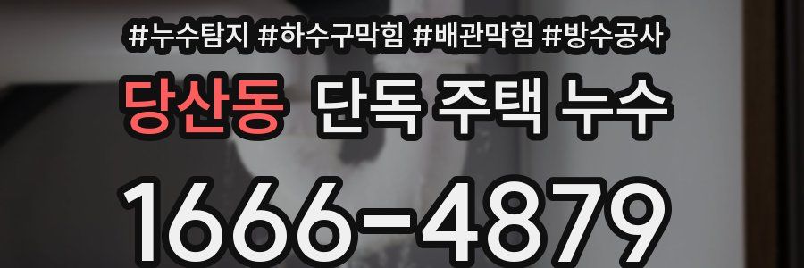 당산동 단독 주택 누수
