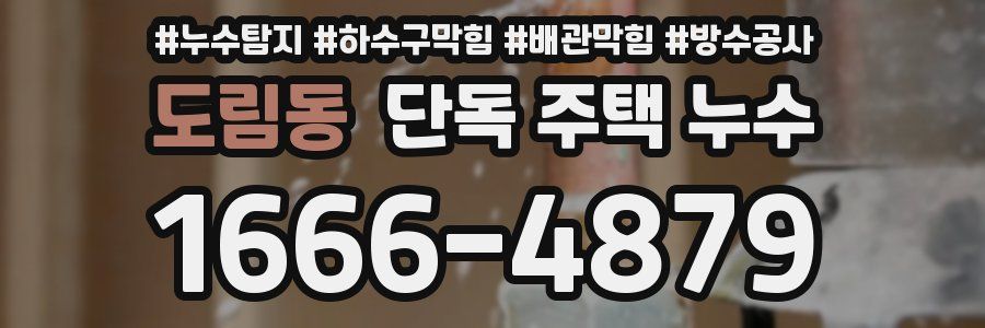 도림동 단독 주택 누수