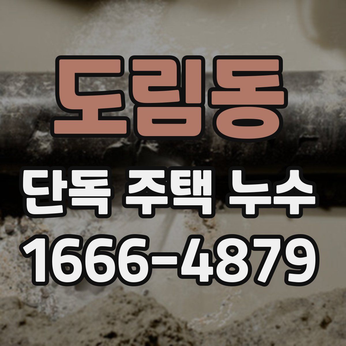 도림동 단독 주택 누수