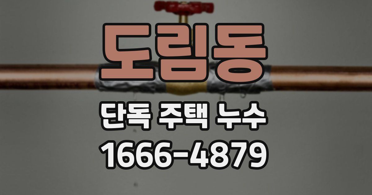 도림동 단독 주택 누수