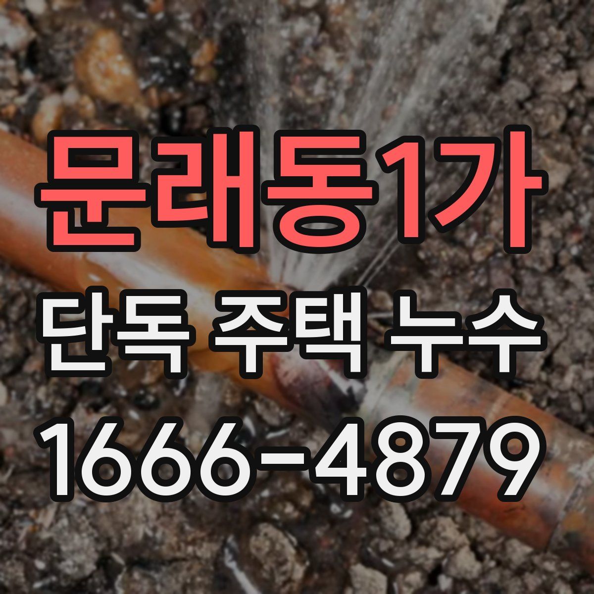 문래동1가 단독 주택 누수