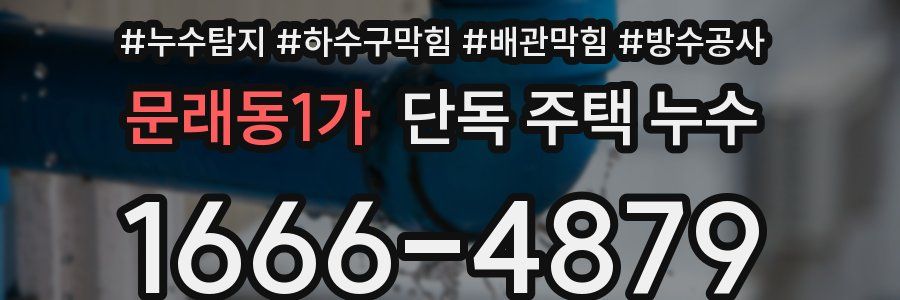 문래동1가 단독 주택 누수