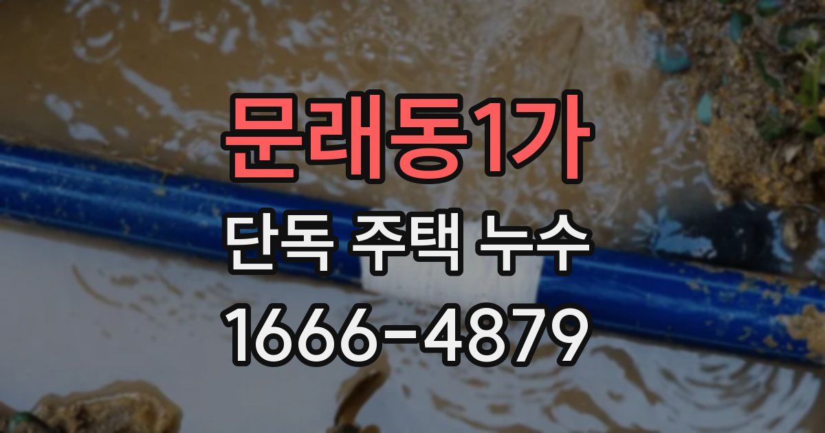 문래동1가 단독 주택 누수