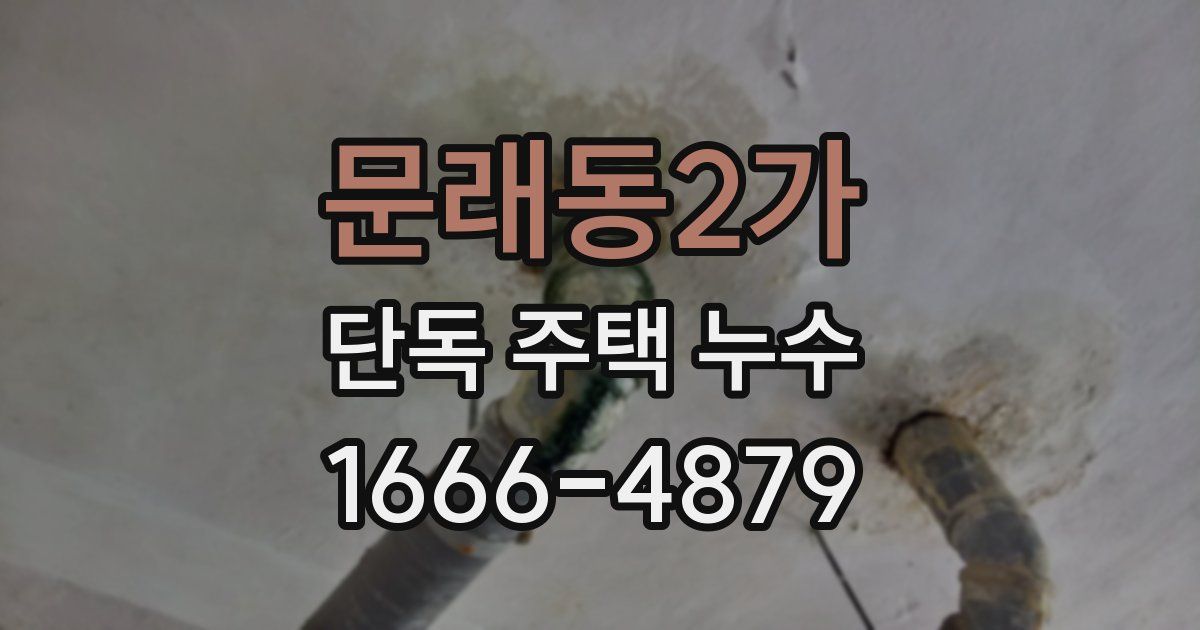 문래동2가 단독 주택 누수