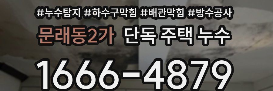 문래동2가 단독 주택 누수