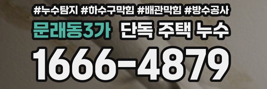 문래동3가 단독 주택 누수