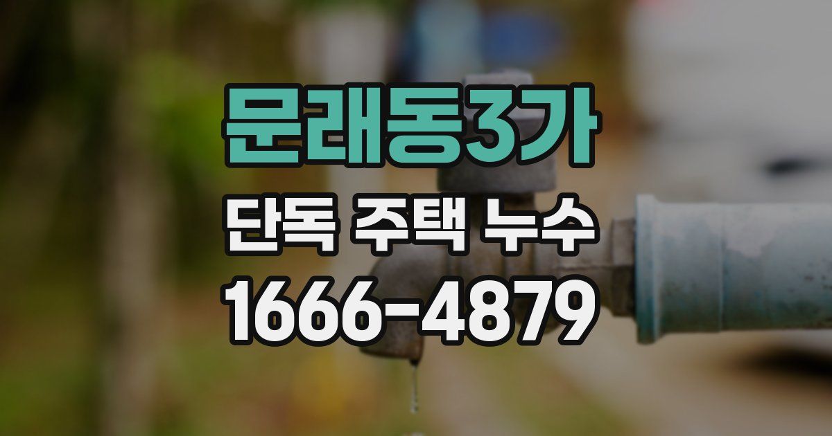 문래동3가 단독 주택 누수