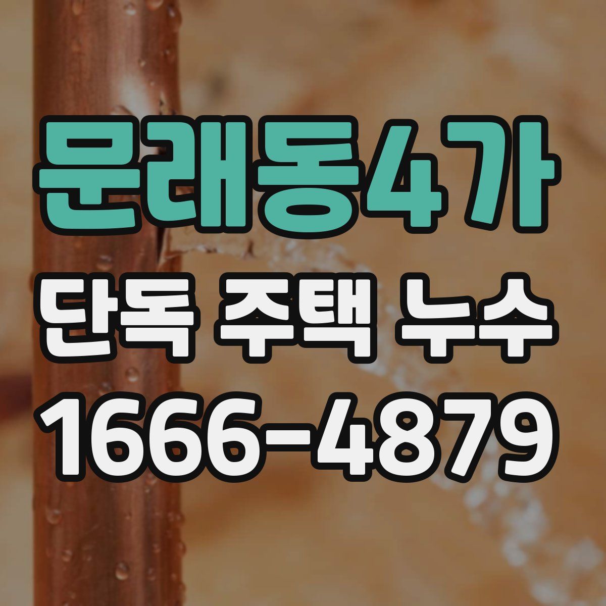 문래동4가 단독 주택 누수