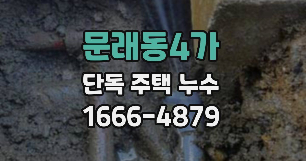 문래동4가 단독 주택 누수