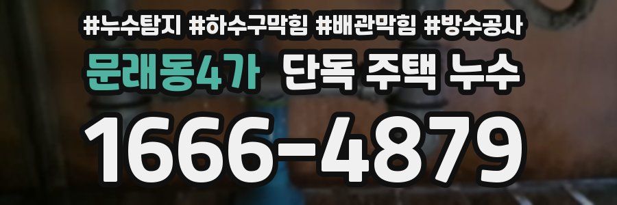문래동4가 단독 주택 누수