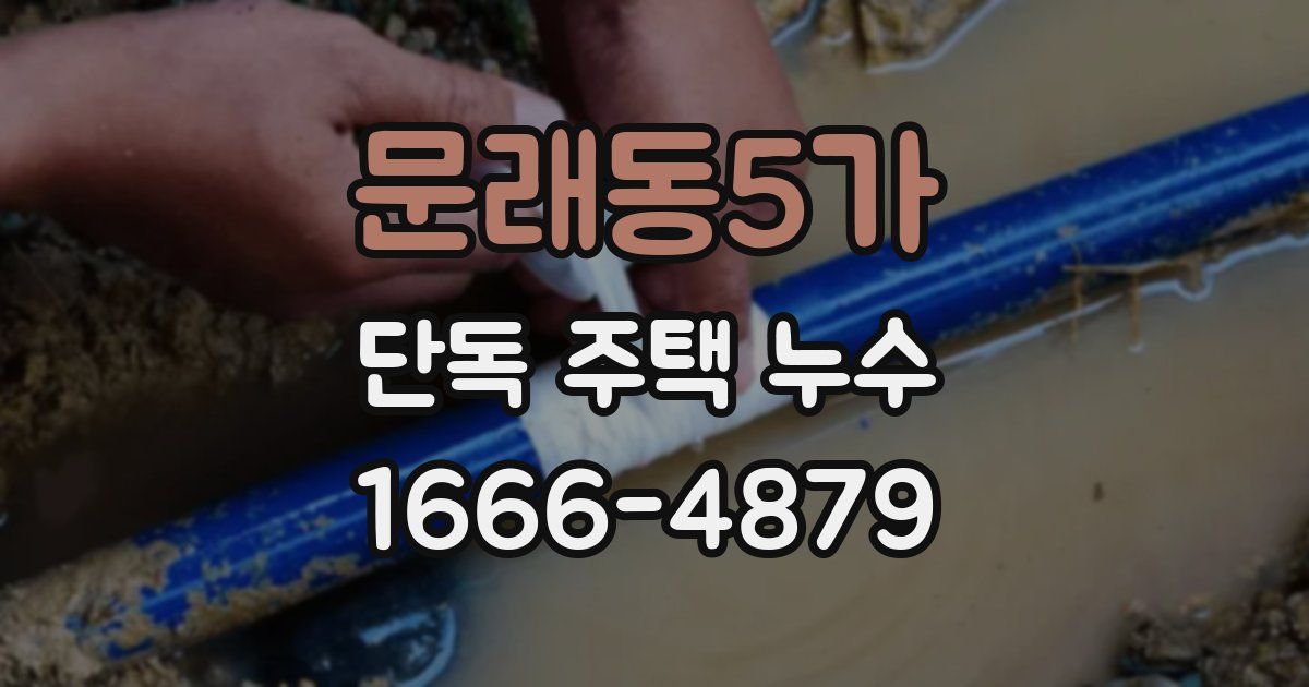 문래동5가 단독 주택 누수