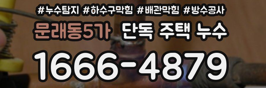 문래동5가 단독 주택 누수