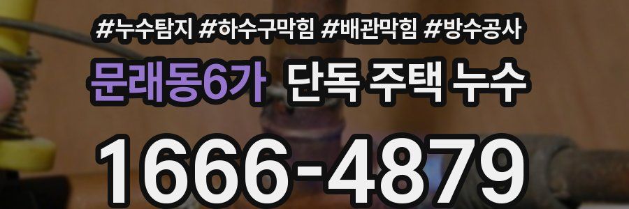 문래동6가 단독 주택 누수