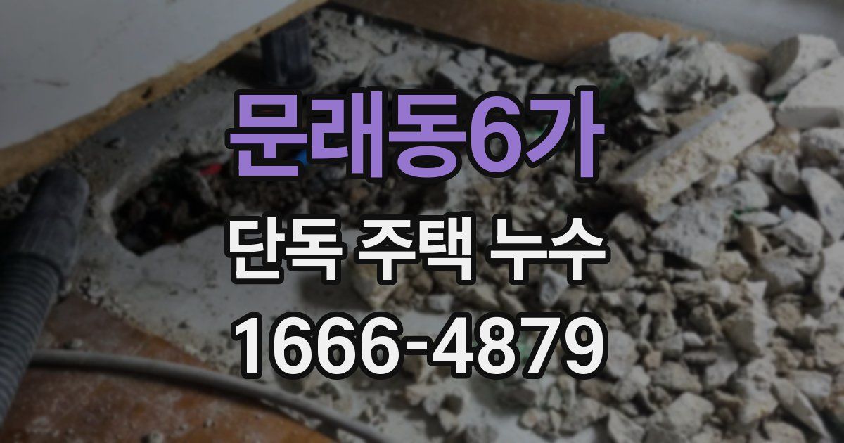 문래동6가 단독 주택 누수