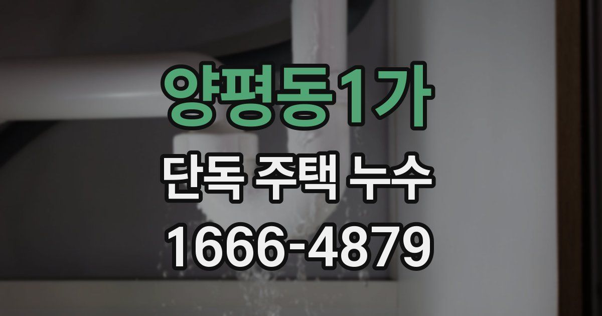 양평동1가 단독 주택 누수