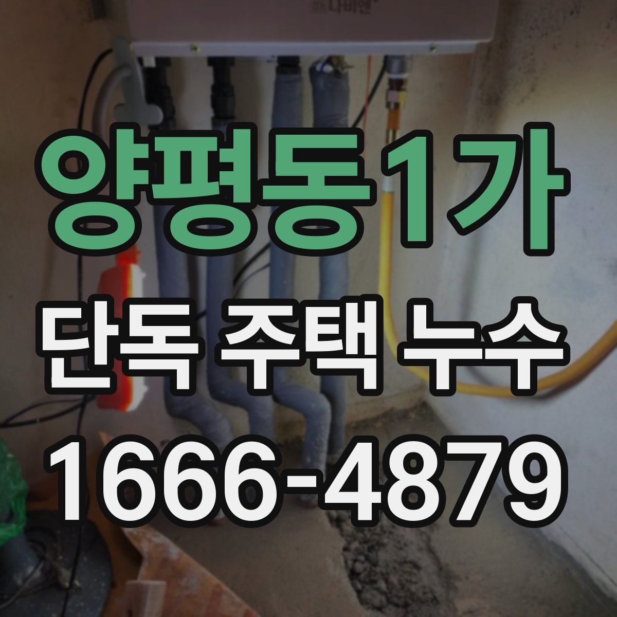 양평동1가 단독 주택 누수