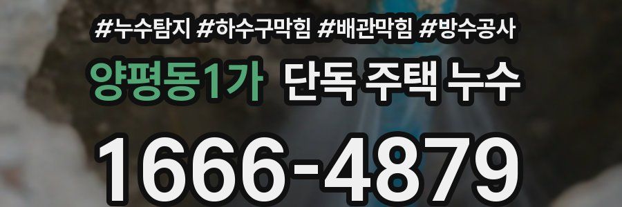 양평동1가 단독 주택 누수