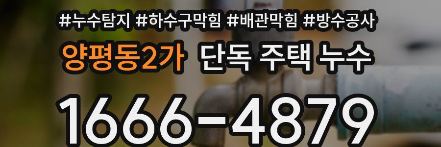 양평동2가 단독 주택 누수