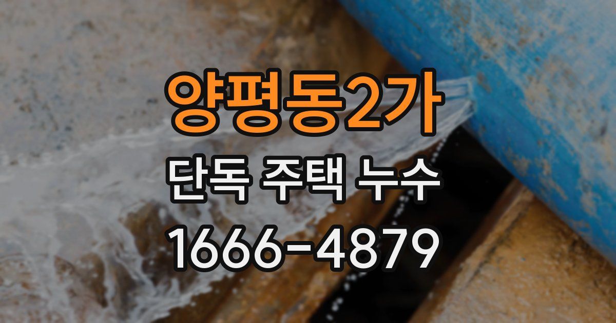 양평동2가 단독 주택 누수