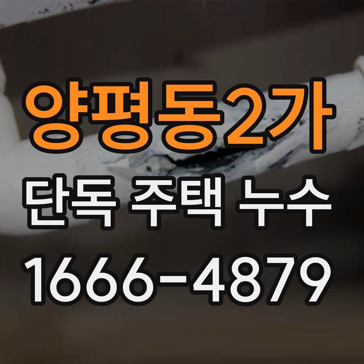 양평동2가 단독 주택 누수