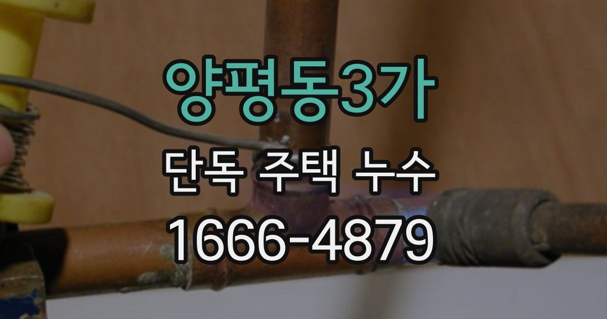 양평동3가 단독 주택 누수